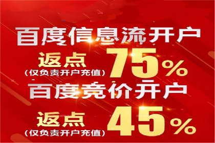 SEM竞价实战：成功案例解析